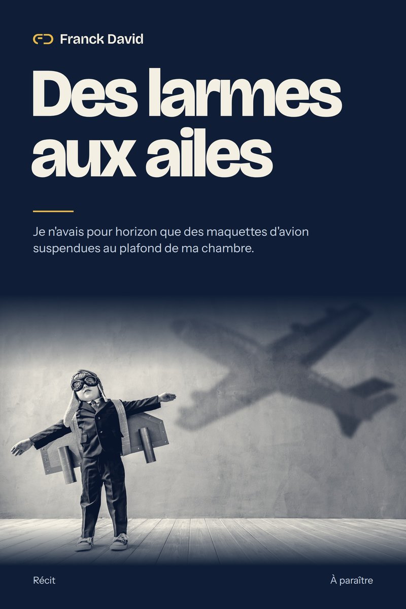 Couverture du livre Des larmes aux ailes, de Franck David